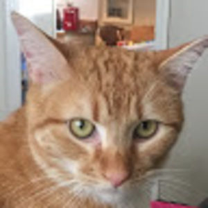 Meet your Posher, Howie